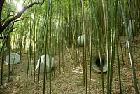 Modern sculptures amongst bamboo canes