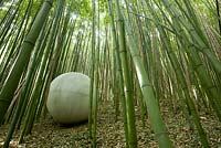 Modern sculptures amongst bamboo canes