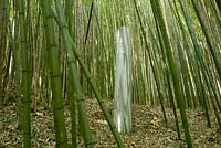 Modern sculptures amongst bamboos 
