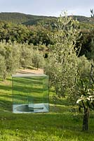 Modern glass cube sculpture in olive grove 