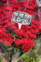 Roses for sale on Columbia road flower market
