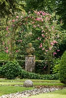 Rosa 'Dorothy Perkins' - Grazzano Visconti garden, Piacenza, Italy