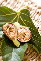 Figs on Ficus leaf, Sicily, Italy