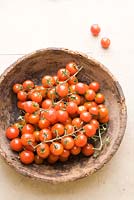 Bowl of Tomatoes 'Pachino', Italy
