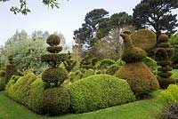 Yew Topiary birds, Peacock wedding-cake tiers and crowns, and wavy Buxus hedges