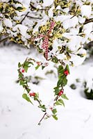 Heart wreath with Ivy and berries hanging on snowy Holly