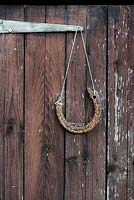 Horse shoe hanging on an old garden shed door