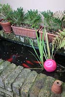 Plastic ball placed in raised brick pond to prevent freezing over in winter months, goldfish and aerating pump 
