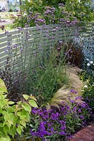 Spring border with Verbena bonariensis, Stipa and Philadelphus. Heart Healthy Garden. Malvern Spring Gardening Show 2011