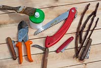 Grafting tools - Scions, falding saw, knifes, grafting compound and secateurs