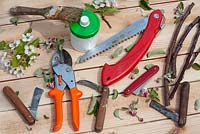 Grafting tools - Scions, falding saw, knifes, grafting compound, secateurs