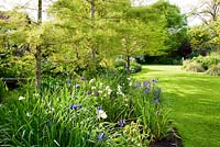 Beds of irises and hostas beside a pond, Aulden Farm