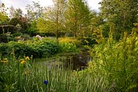 Pond surrounded by moisture loving plants including irises and Bowles' Golden Sedge, Carex elata 'Aurea' with swamp cypress Taxodium distichum, Aulden Farm