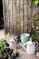 Old watering cans, Aulden Farm