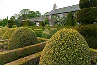 The Formal Garden at the front of the house featuring box and yew topiary - Buxus sempervirens 'Aureovariegata', Buxus sempervirens 'Suffruticosa' infilled with Dicentra formosa. Clipped ivy and white Clematis montana on the house - Herterton House, Hartington, Northumberland, UK