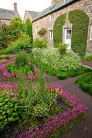 The Physic Garden features herb beds edged with London Pride, Saxifraga 'Clarence Elliot', and a clipped Pyrus salicifolia, weeping silver pear - Herterton House, Hartington, Northumberland, UK