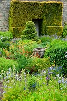The Flower Garden features strong blocks of box and yew that frame cottage garden plants and flowers including Polemoniums, Geraniums and poppies - Herterton House, Hartington, Northumberland, UK