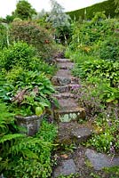Steps leading down the rockery are framed with Hostas, Heucheras, Lamiums and ferns - Mindrum, nr Cornhill on Tweed, Northumberland, UK