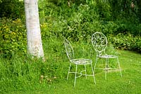A pair of metal chairs set on the edge of the lawn, beside longer grass and naturalistic planting under silver birches - Mindrum, nr Cornhill on Tweed, Northumberland, UK