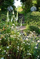 Self seeded white foxgloves and oxeye daisies with steps beyond framed with stone peacocks - Mindrum, nr Cornhill on Tweed, Northumberland, UK