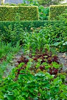 Fergus' vegetable garden is an integral part of the garden's overall design, with view beyond into the gravel garden, through beech hedges - Yews Farm, Martock, Somerset, UK