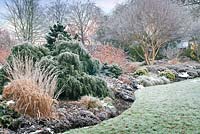 The Winter Garden at The Bressingham Gardens, Norfolk