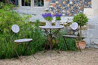 Ceramic blue and white table and chairs outside house with matching china pots of Lobelia. Lavandula - Lavender and Laurus nobilis - standard Bay tree in pot behind