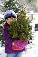 Girl holding mini Christmas tree