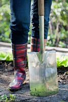 Woman in red wellies with stainless garden spade standing in the garden.