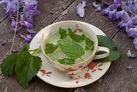 Cup of herbal tea with Wisteria flowers on wooden table