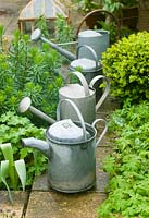 Galvanised watering cans in garden in rain