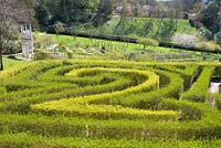 The Anniversary Maze at Painswick Rococo Gardens - first planted in 2000 to celebrate the 250th birthday of the Garden. 