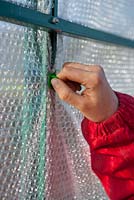 Using plastic pegs to secure bubble wrapping in aluminum greenhouses.
