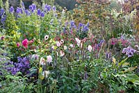 Autumn border with Agastache, Persicaria, Aconitum, Aster and Dahlia 'Melody Harmony'
