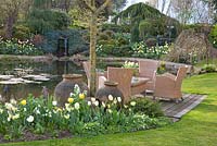 Seating in the garden with Tulipa West Point, Verona, Tulipa, Tulipa Flaming Coquette, City of Vancouver Tulipa, Narcissus Lemon Drops