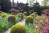 Formal garden with Tulipa 'Pink Impression', Tulipa 'Pink Diamond', Tulipa 'Rosalie', Tulipa 'Violet Beauty' and Narcissus 'Bellsong'
