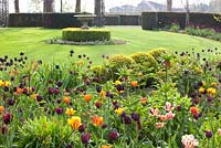 Large garden with Tulipa 'Flaming Spring Green', Tulipa 'Queen of Night' and Tulipa 'Ronaldo'