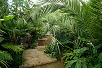 Decked terrace with exotic planting