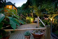 Decked terrace with exotic planting
