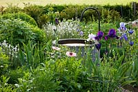 A watering station in flowerbed of Papaver, Taxus, Irises and Veronica gentianoides - Hollberg Gardens 