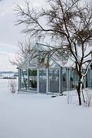 A glasshouse in a country garden in winter,  Prunus domestica in foreground
