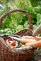 Basket of tools - Willow Cottage, Essex