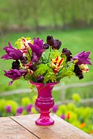 Tulipa 'Ballerina' and Tulipa 'Purple Dream' with lettuce and wallflower