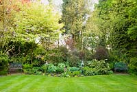 The far end of the formal lawn with herbaceous border flanked by trees with contrasting foliage, including copper beech, Abutilon, Acer plantenoids and davidia involucrata - The Ridges, Chorley
