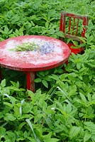 Child's chair and table amongst Aegopodium podagraria with bunch of forget me nots on table