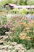 Echinacea in fall border at The Garden Society of Gothenburg, Sweden