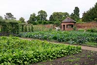 Spinach, chard, cauliflowers, cabbages and brussels watched over by two scarecrows with trained apples and flowers for cutting in the background - Walled kitchen garden, Tatton Park