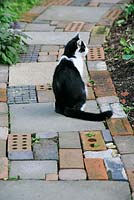 Cat sitting on cottage garden style path made from salvaged materials