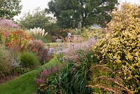 Eucomis comosa 'Sparkling Beauty', Cortaderia selloana 'Pulia', Heleniums, Agapanthus and Bupleurum in the main garden - Marchants Hardy Plants Nursery, Sussex
