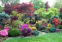 Oriental themed garden with borders of conifers, Pieris, Azaleas and Acers with animal shaped topiary and tea house - Four Seasons Garden, Walsall 
 